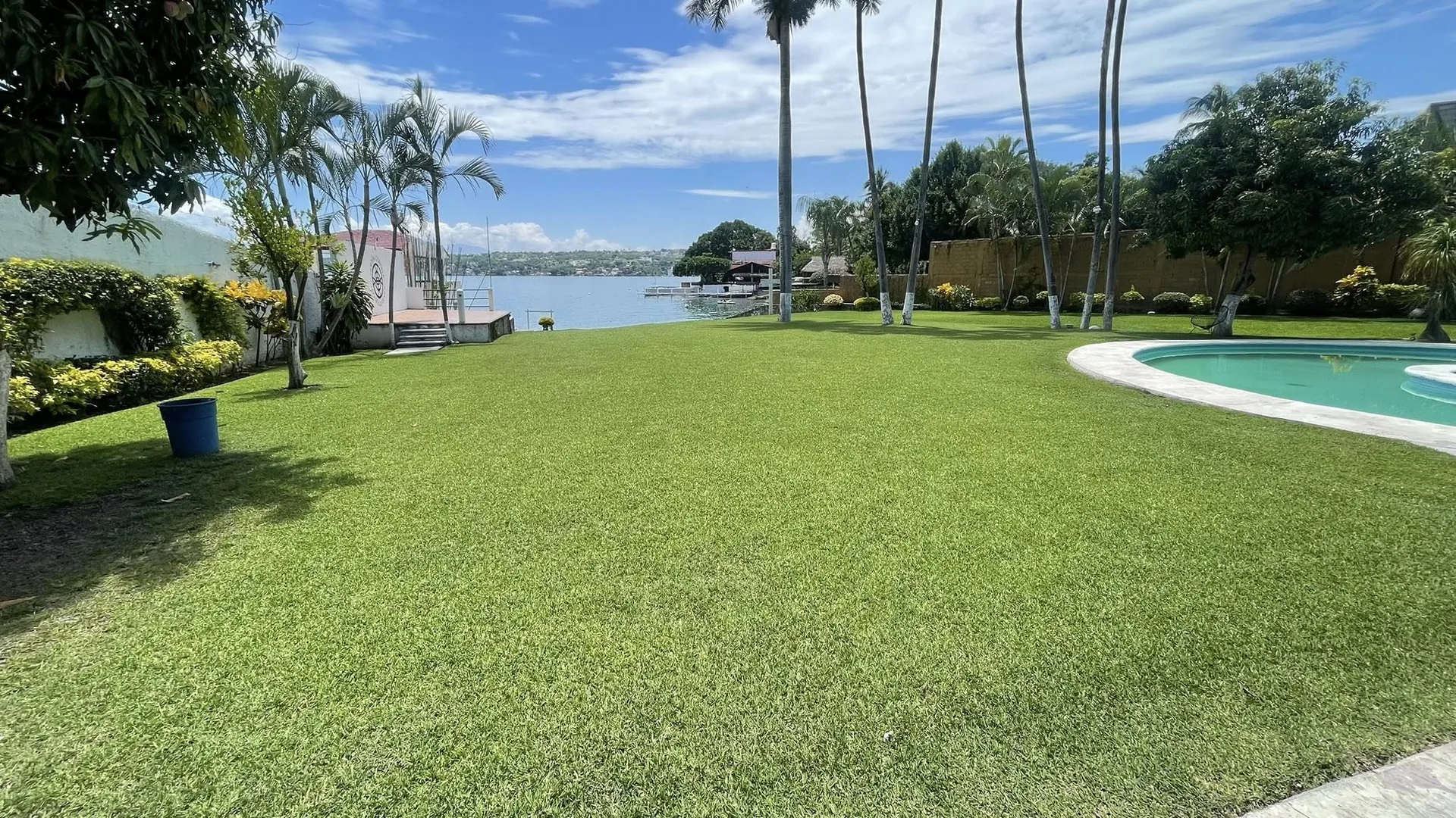 Jardín amplio con palmeras